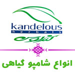 کندلوس - سلامت مو