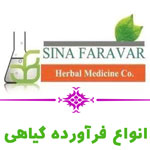 سینافرآور