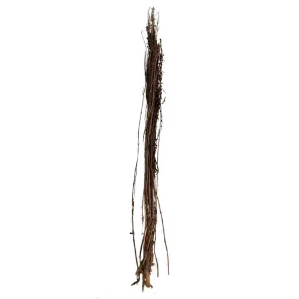 چرایته (نیپالی)- 100 گرمی
