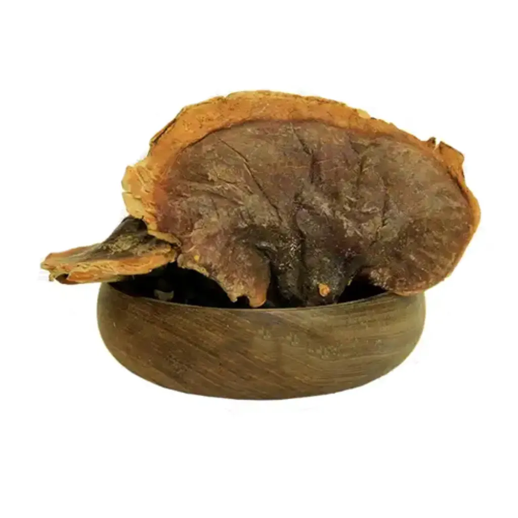 قارچ گانودرما قهوه ای- 100 گرمی
