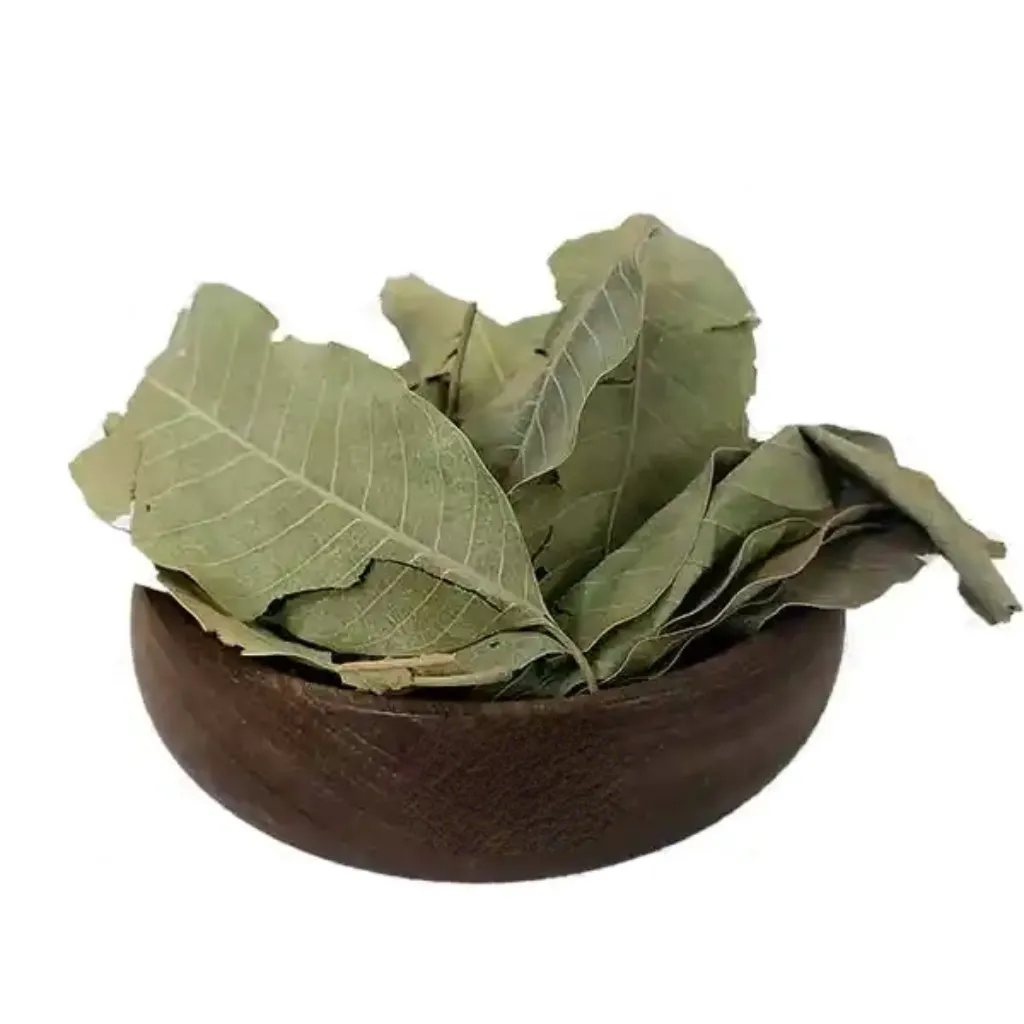 برگ انبه