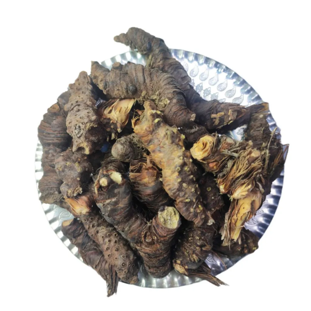 ریشه ایرسا (اریسا)