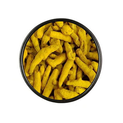 زردچوبه قلم هندی(طاها)