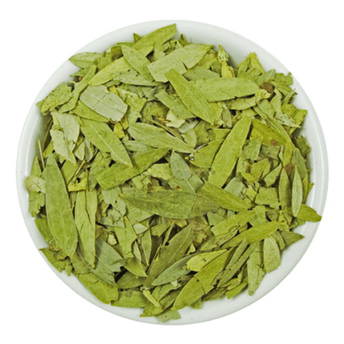 برگ سنا