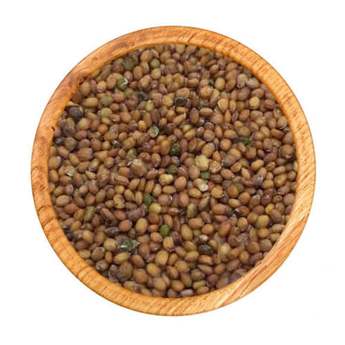 منداب