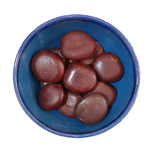 قرص کمر  (آناکاردیه)