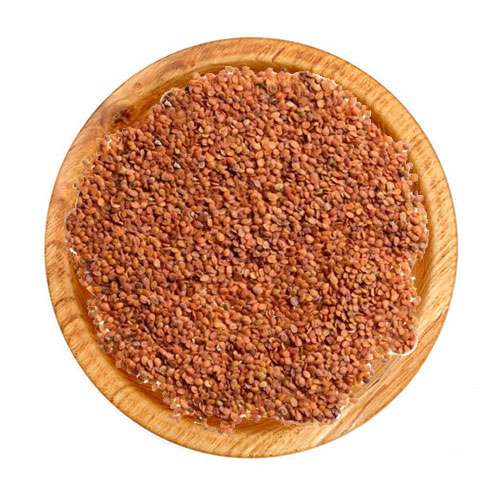 قدومه شیرازی (قدومه دختر)